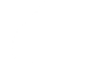 h5-bg-shape-2.webp